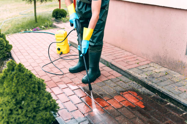Best Exterior Home Cleaning  in Friona, TX